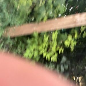 Meet your Posher, Peter